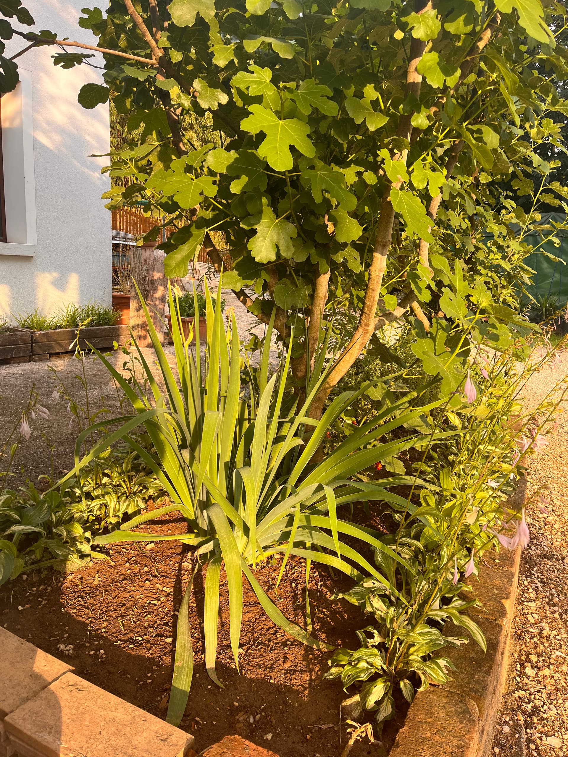 Außenbereich - Riva dei Coz