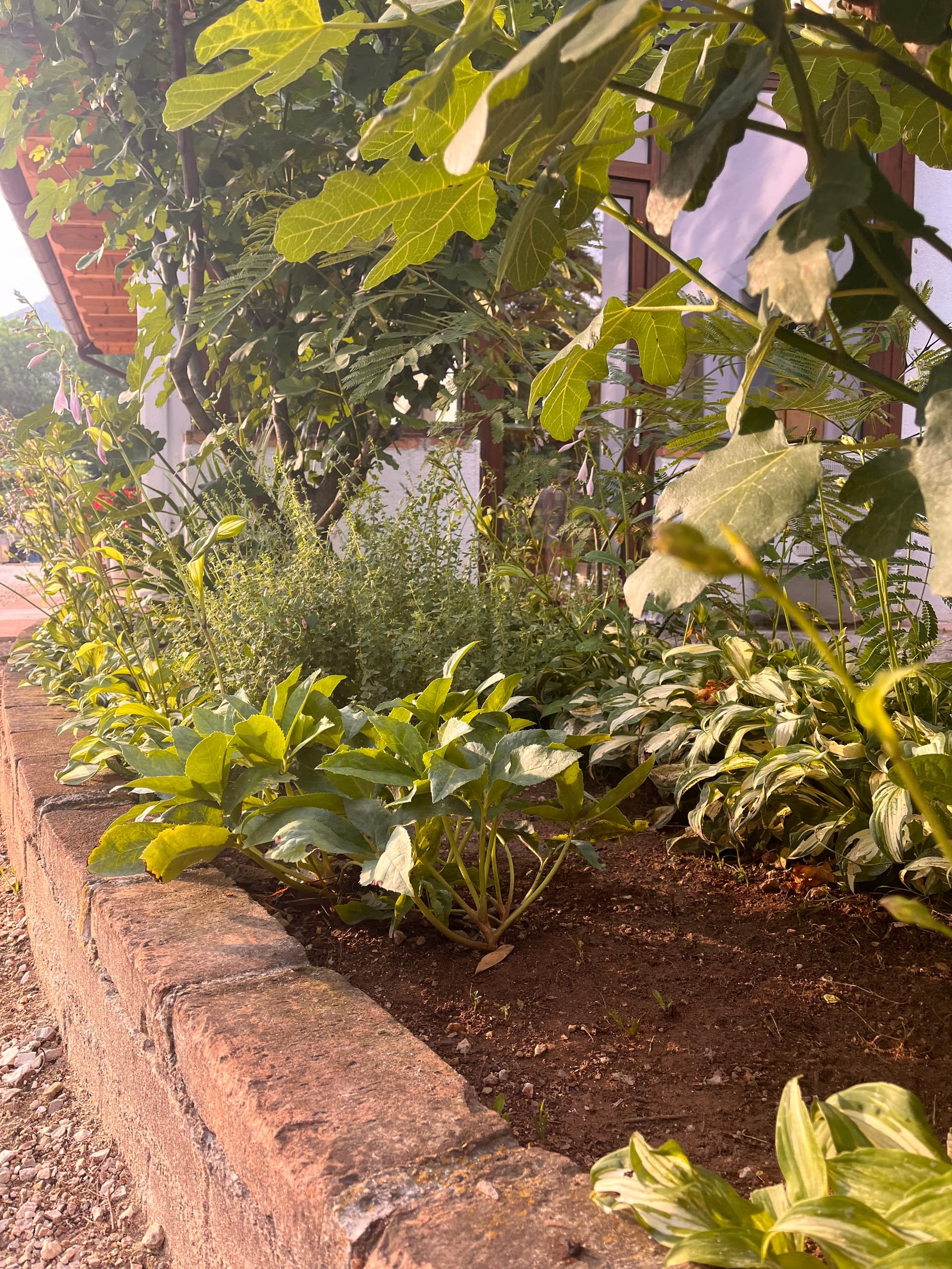 Außenbereich - Riva dei Coz