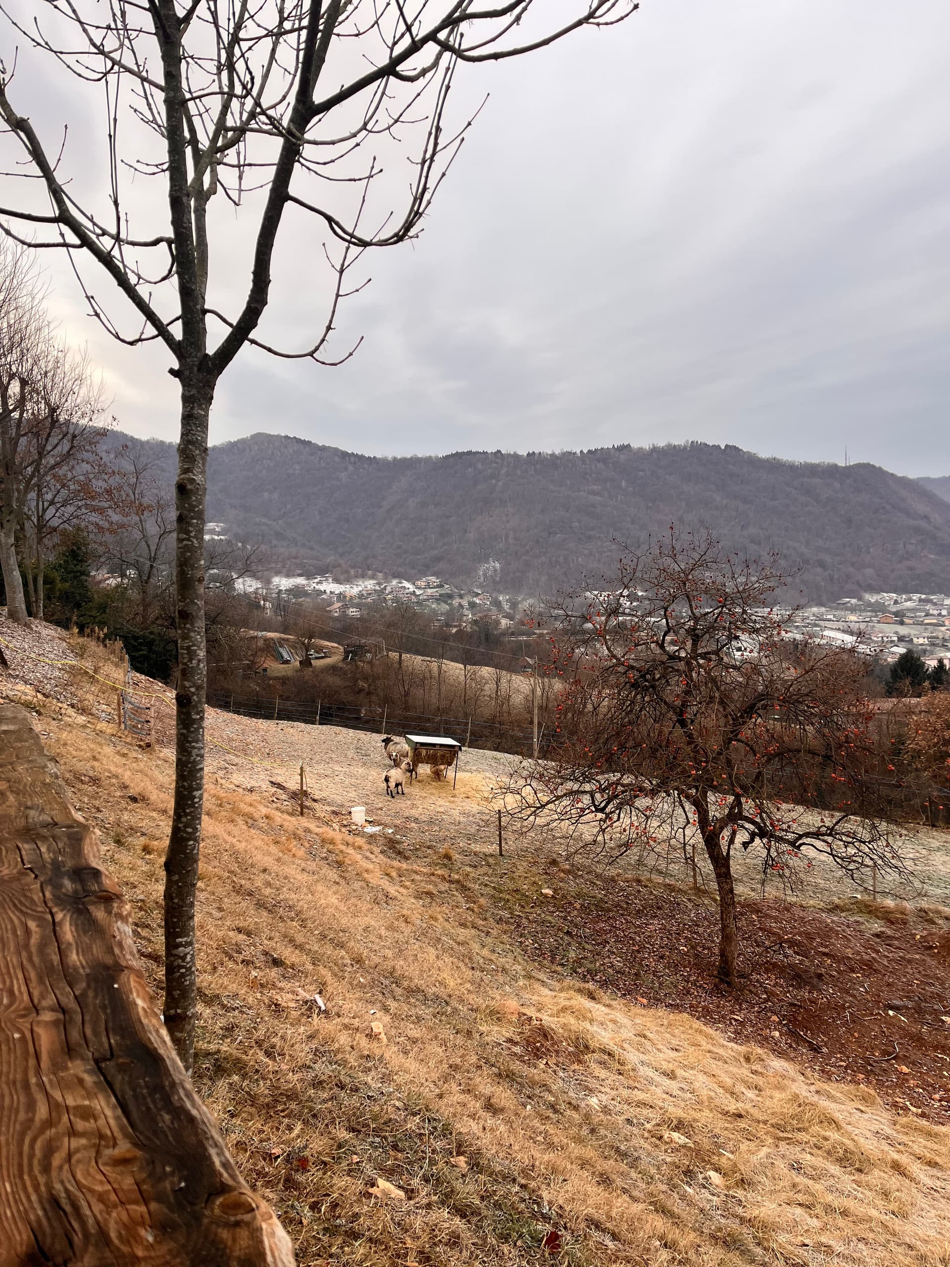 Außenbereich - Riva dei Coz