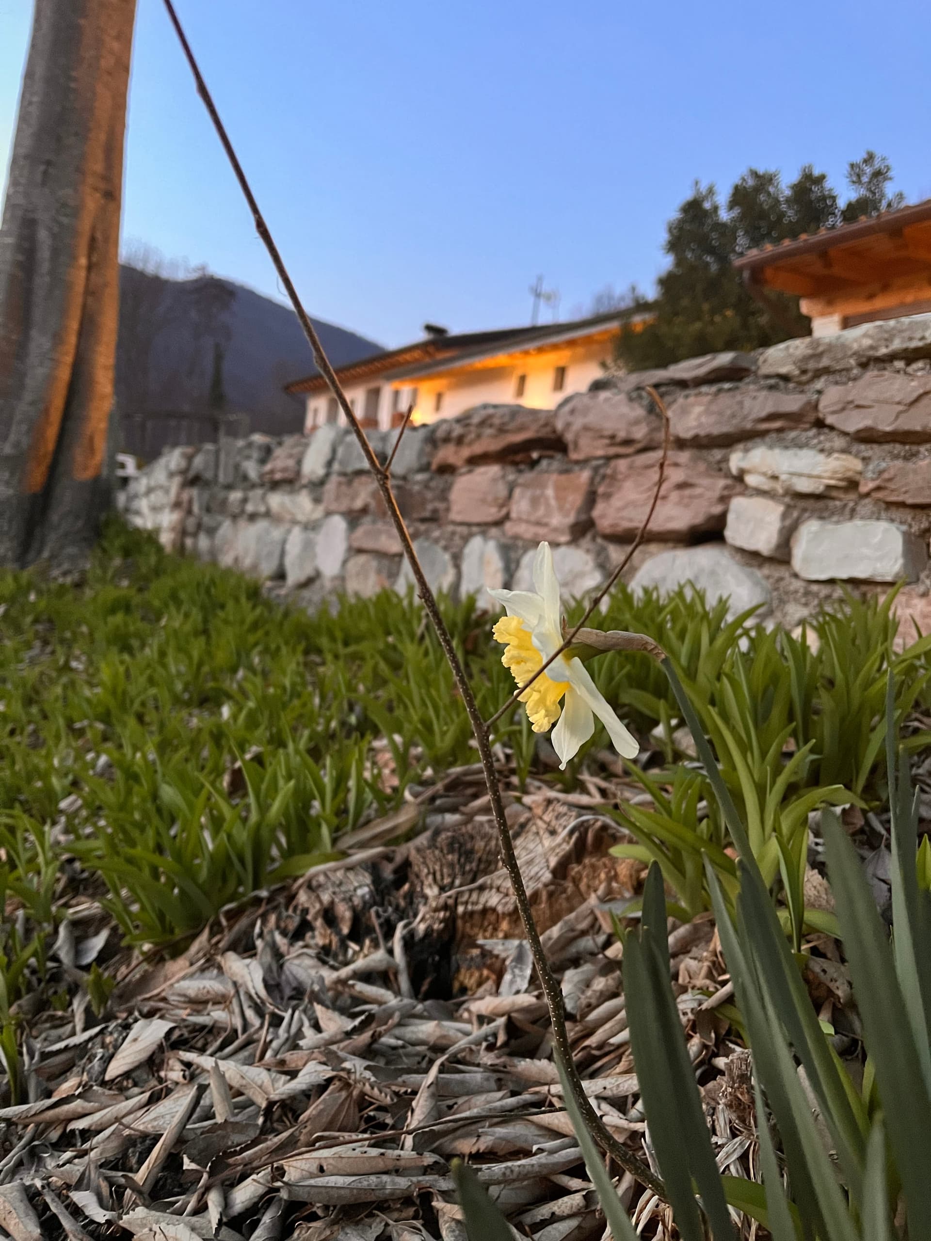 Außenbereich - Riva dei Coz