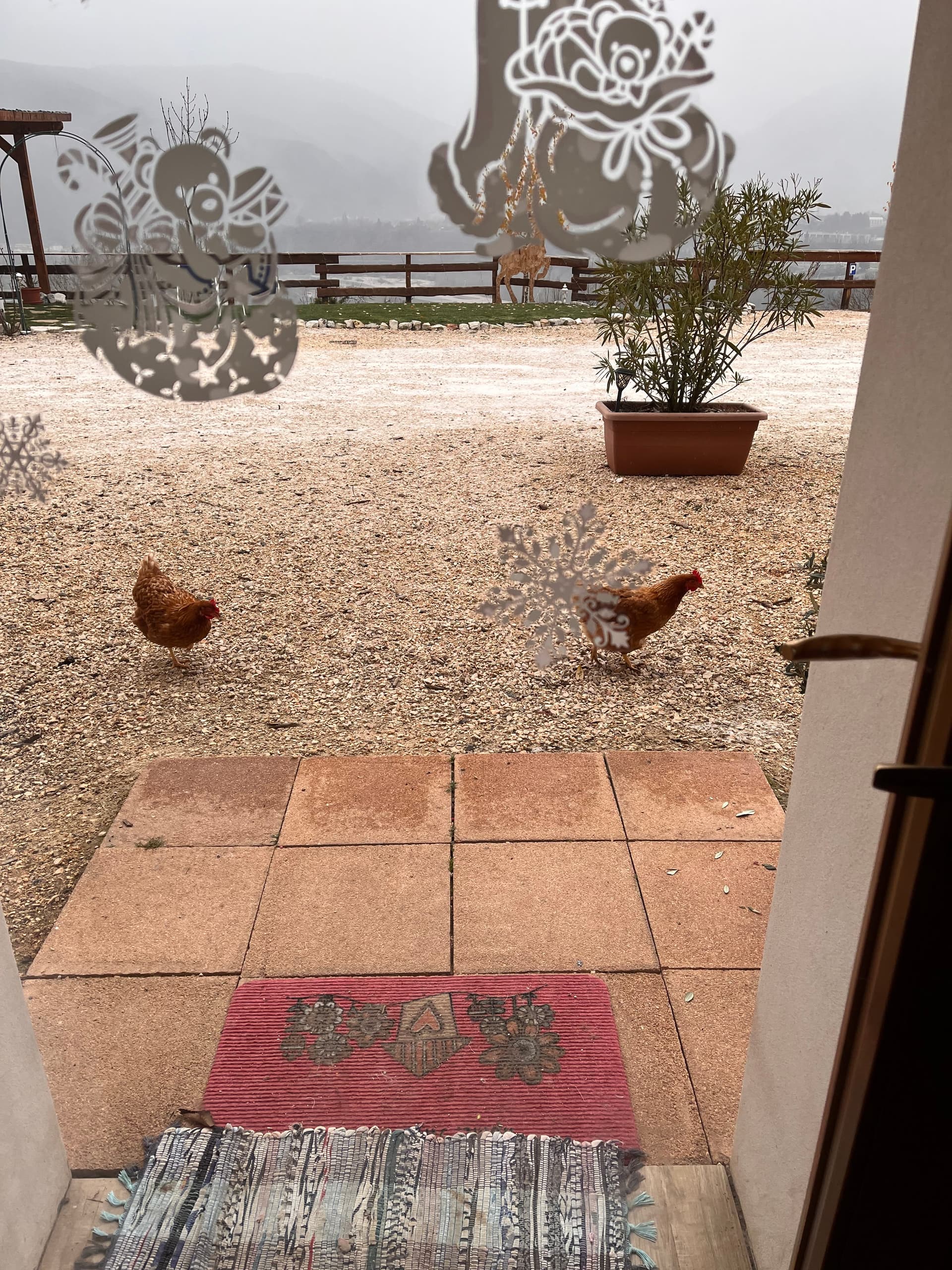 Bauernhof - Riva dei Coz