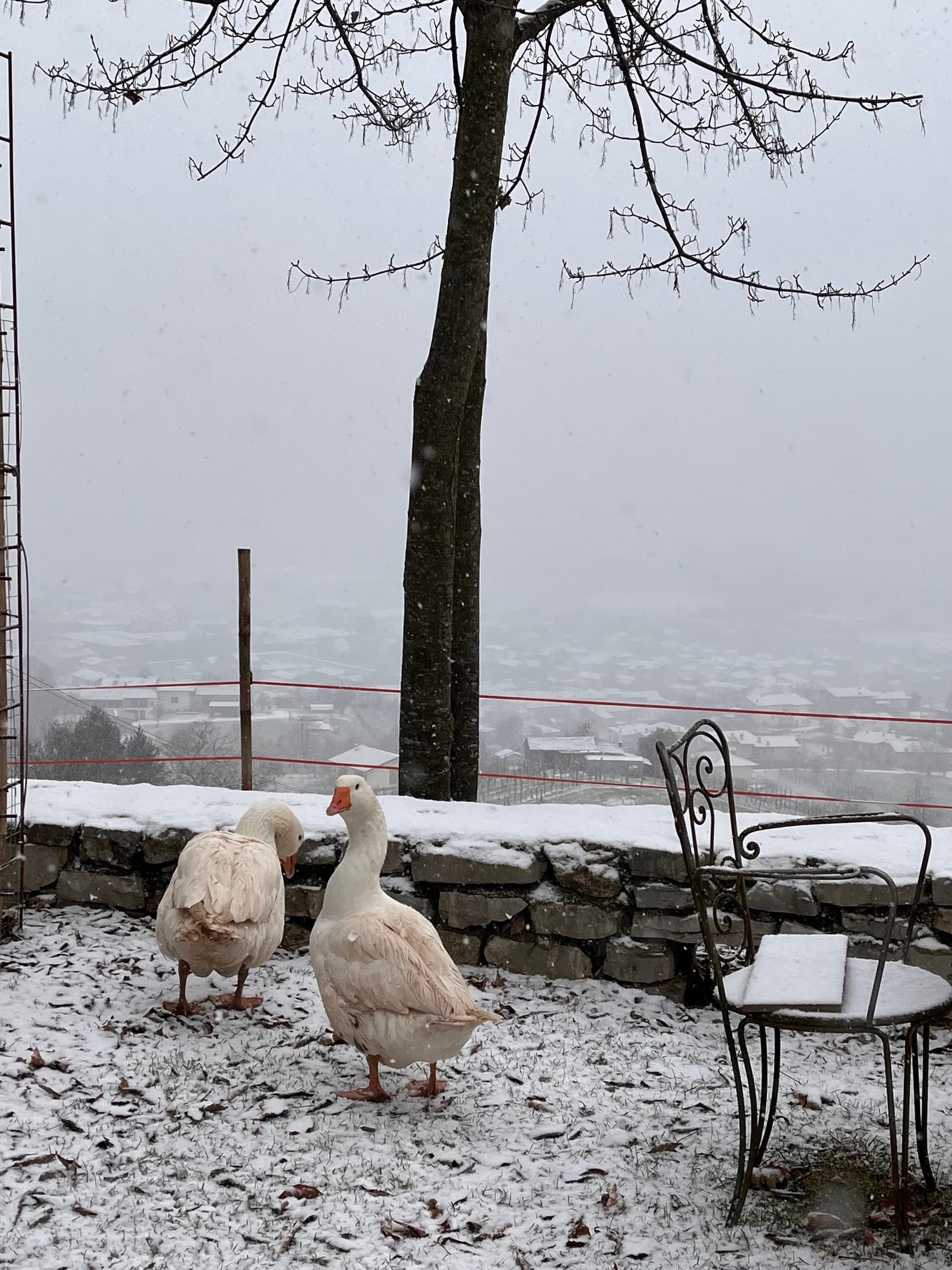 Bauernhof - Riva dei Coz