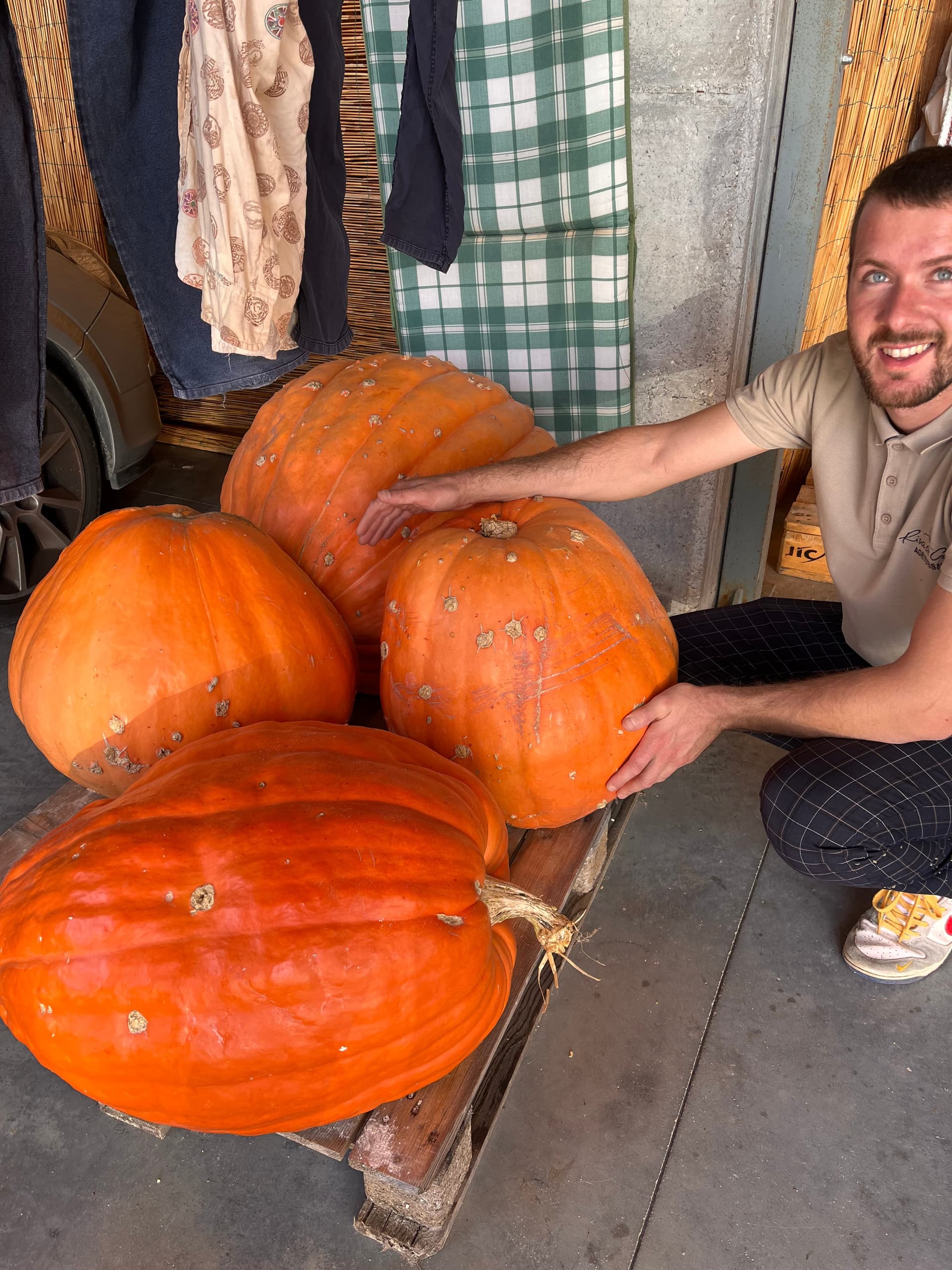 Bauernhof - Riva dei Coz