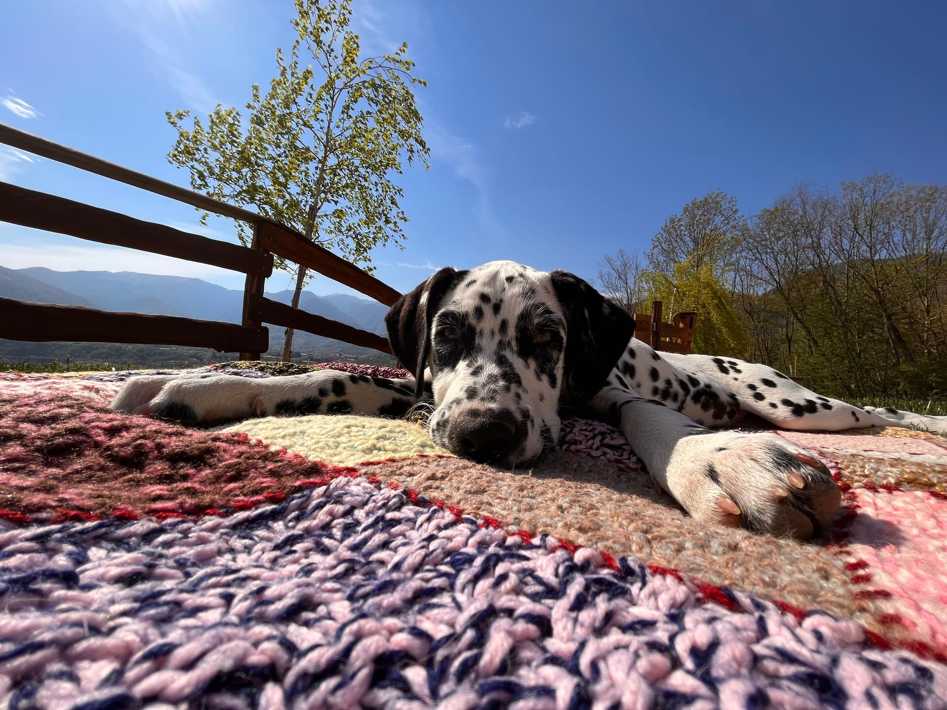 Bauernhof - Riva dei Coz