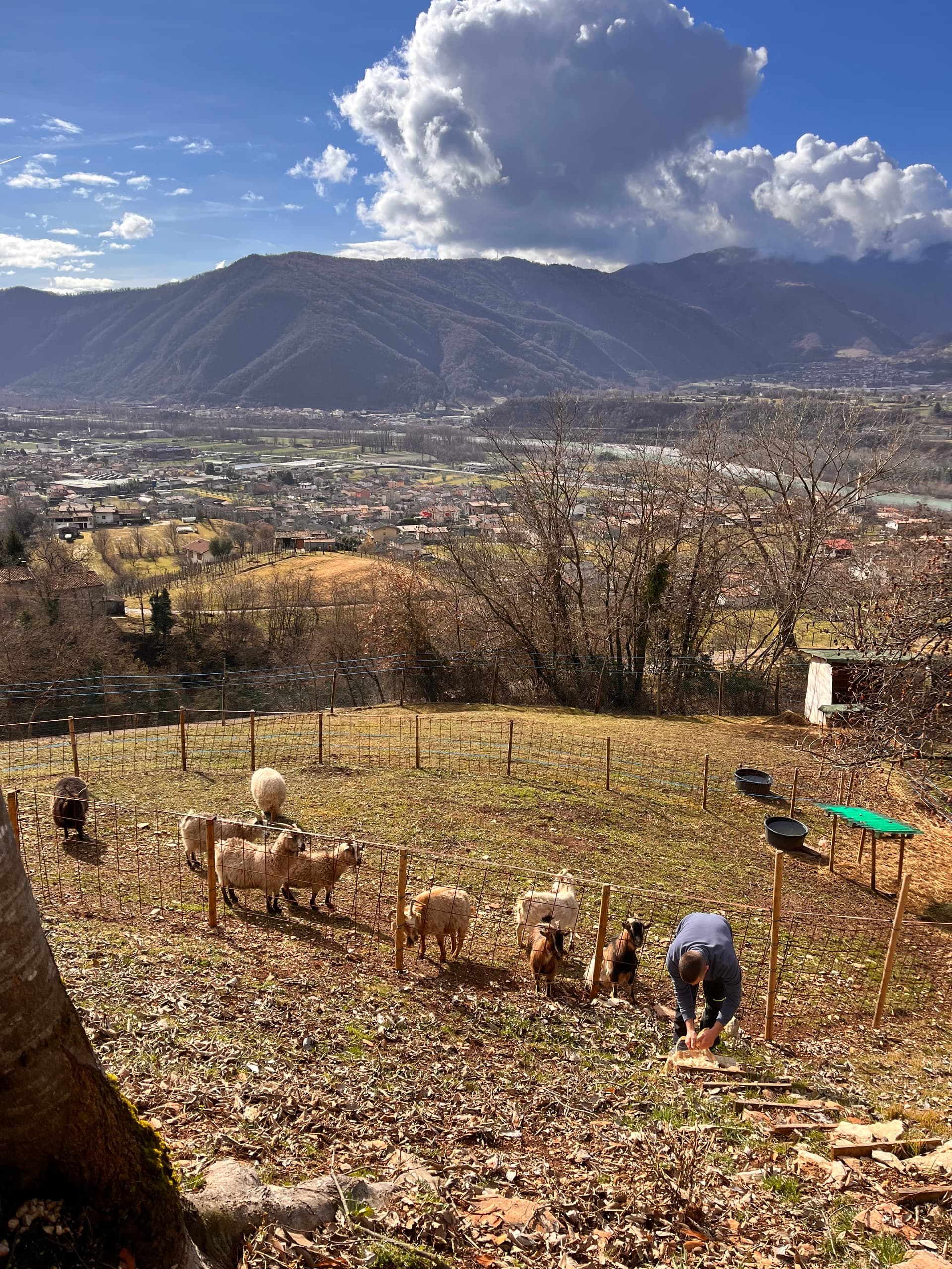 Bauernhof - Riva dei Coz