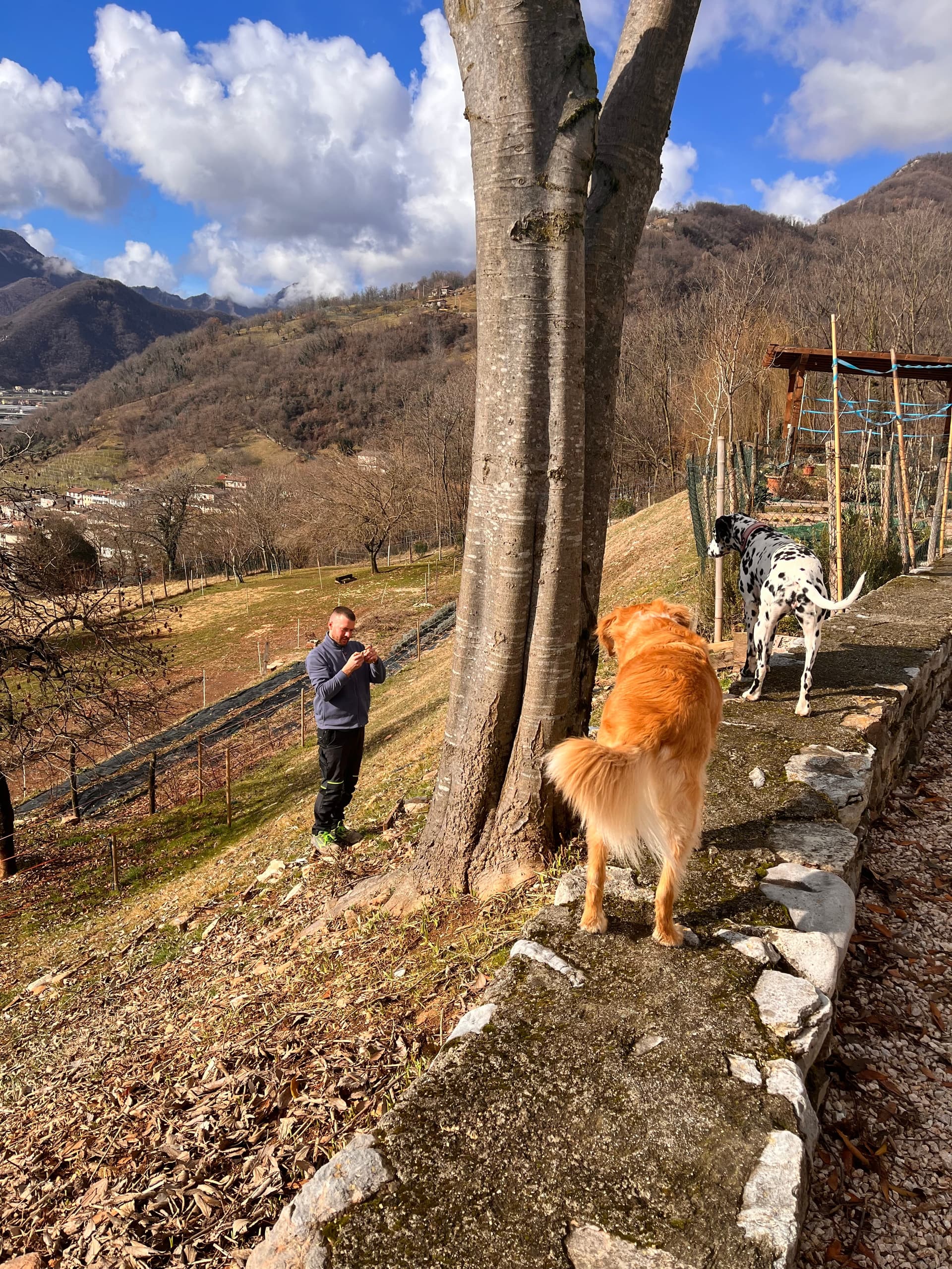 Bauernhof - Riva dei Coz