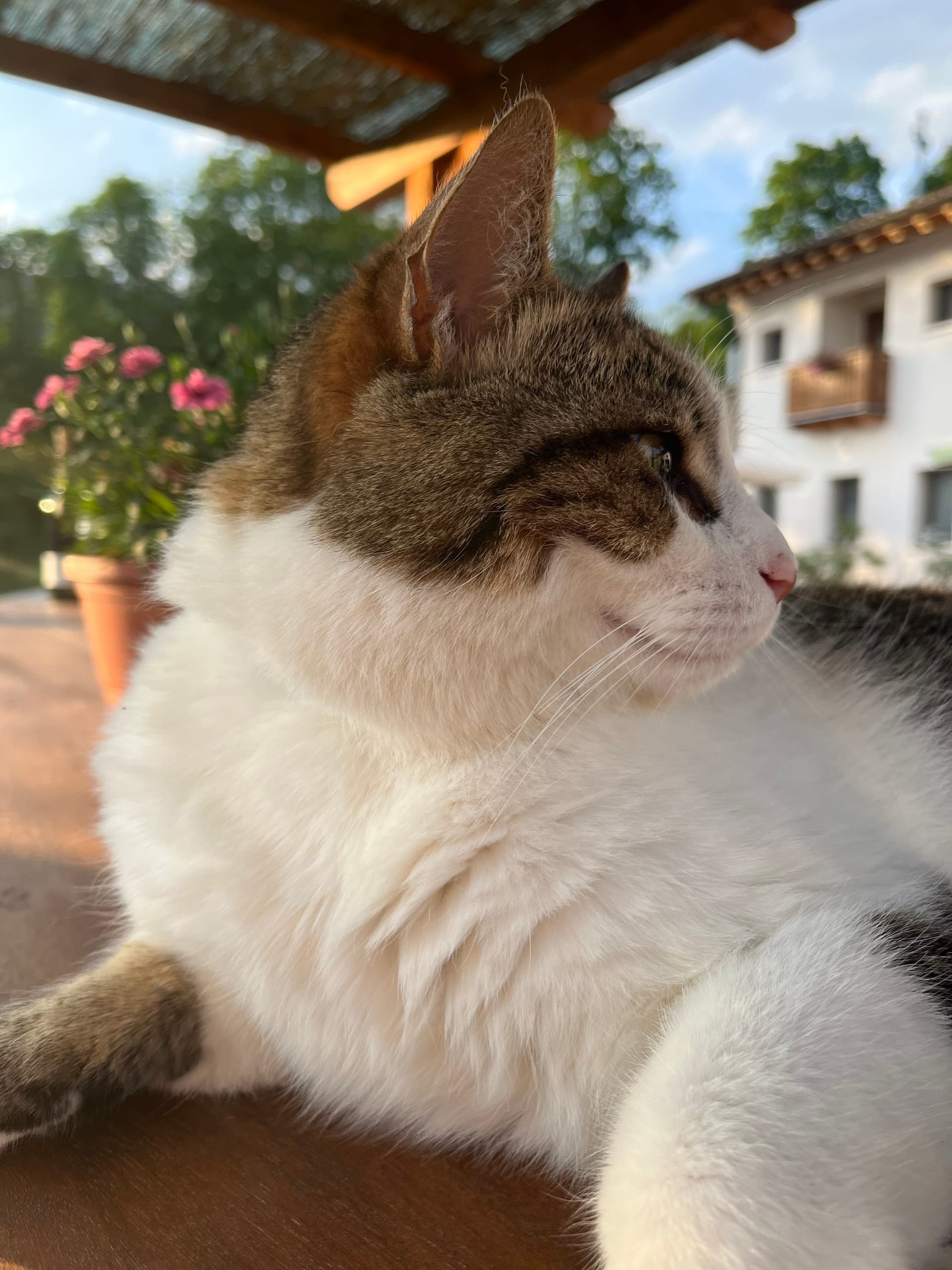 Bauernhof - Riva dei Coz