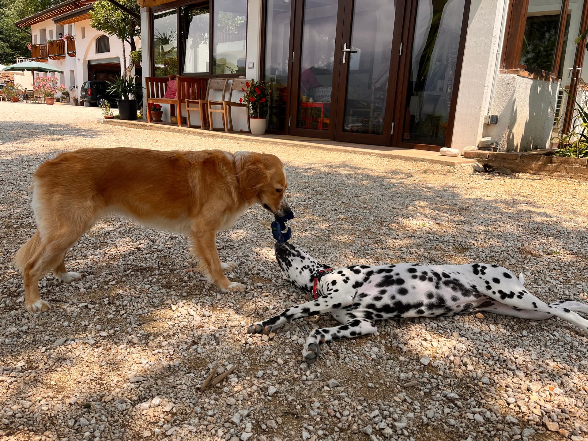 Bauernhof - Riva dei Coz