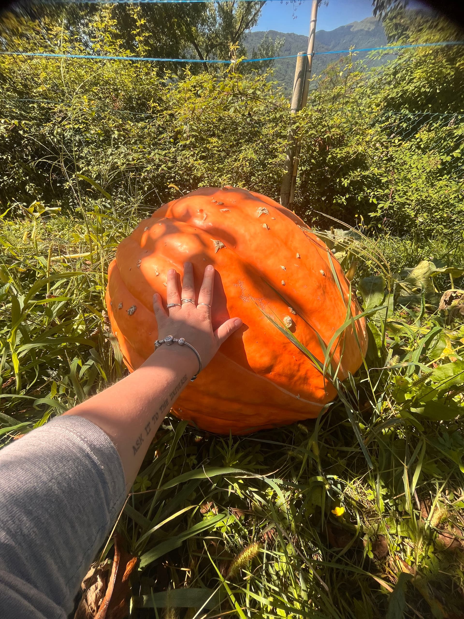 Bauernhof - Riva dei Coz